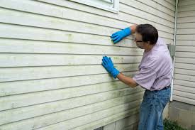 Best Siding Painting and Refinishing  in Breckenridge, MN